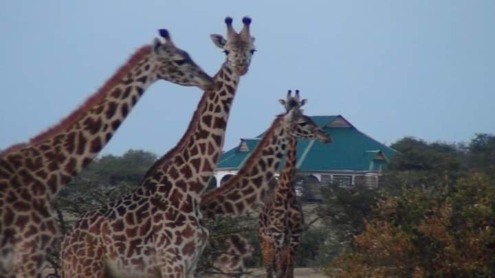 טאלק Narasha Homestay - Maasai Mara מראה חיצוני תמונה