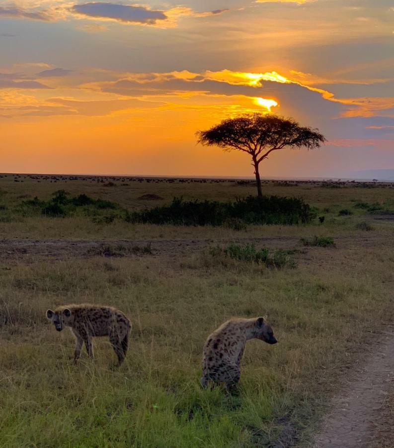 טאלק Narasha Homestay - Maasai Mara מראה חיצוני תמונה